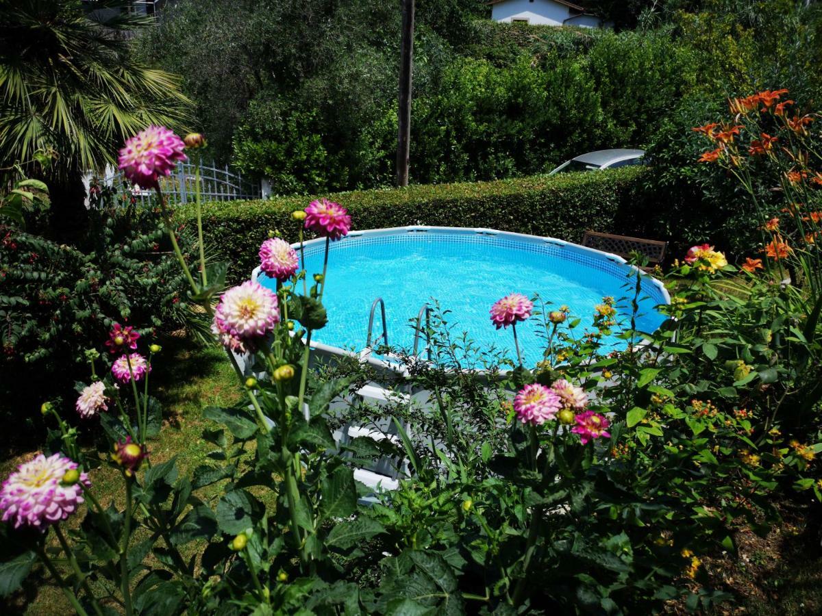 Parte Di Casa Con Giardino E Piscina Βίλα Pietrasanta Εξωτερικό φωτογραφία